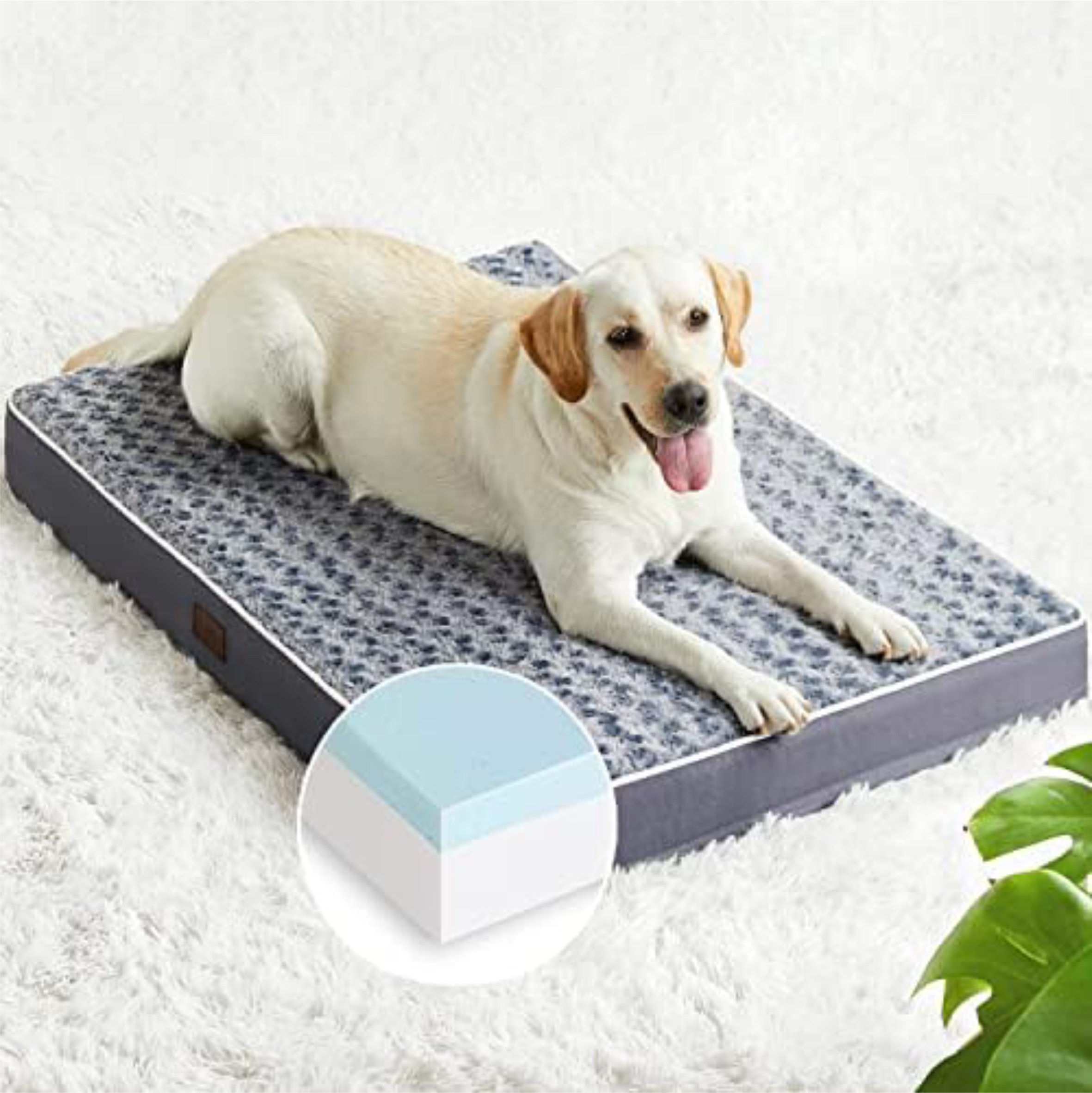 Beds & Crates