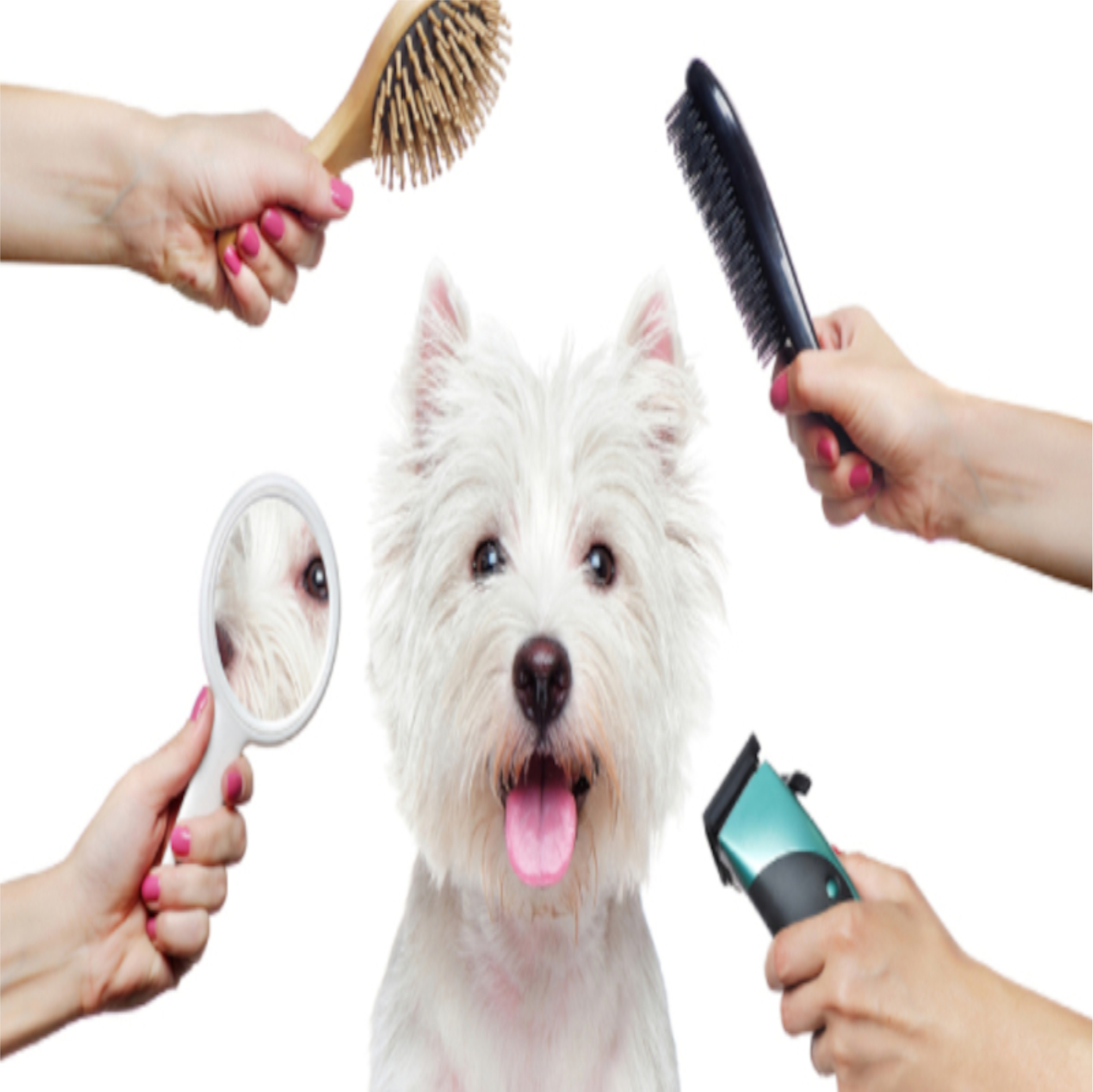 Grooming